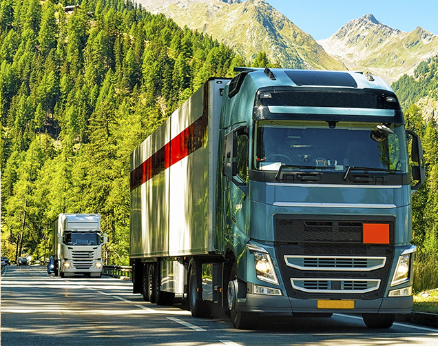Transport & Mobility Services